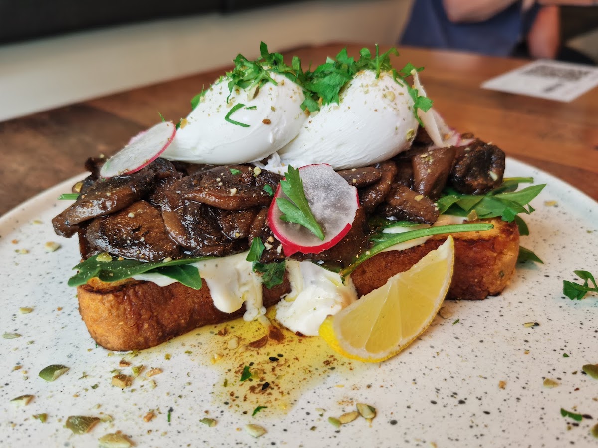 Banner Cindy's Cafe And Bar 03